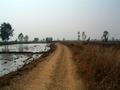 #5: Looking West from the Confluence