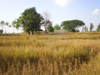 #1: General view of the confluence area (looking northwest)