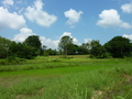 #2: View North