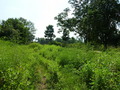 #3: View South