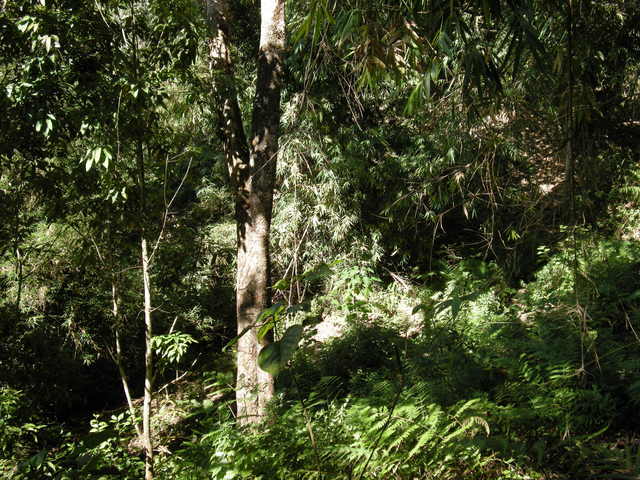 view north