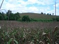 #4: View East
