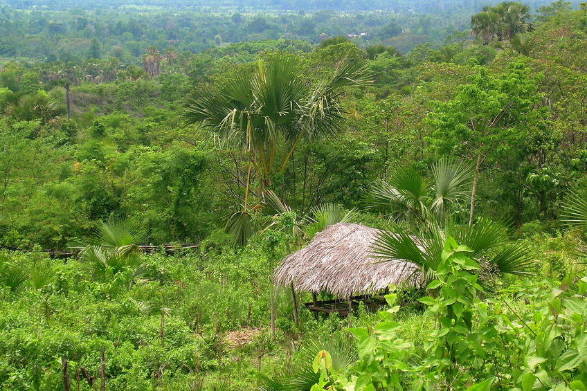 View west to farmer’s day shelter