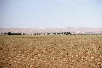 #1: Looking west