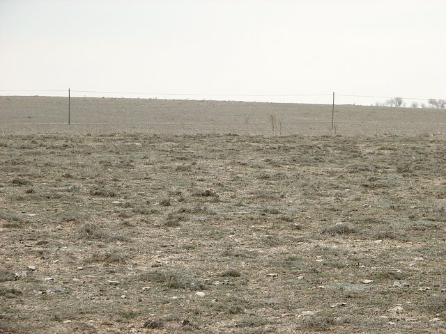View north from Confluence
