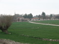 #8: The village of Körkuyu