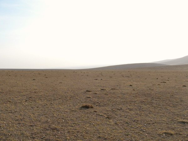 East view from confluence point