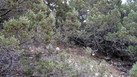 #2: East