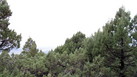 #4: West