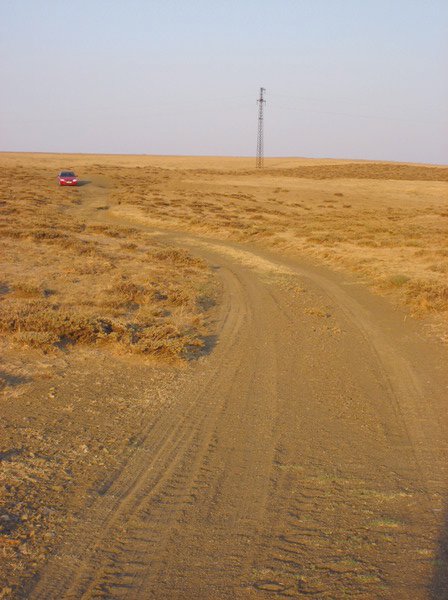 On the fields road