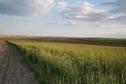 #3: South