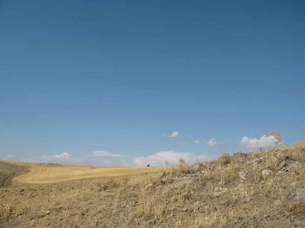 North view from confluence point