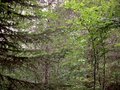 #2: North view
