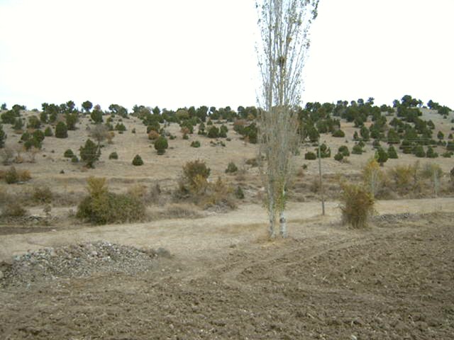 North