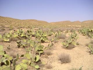 #1: View at the Confluence and to the North