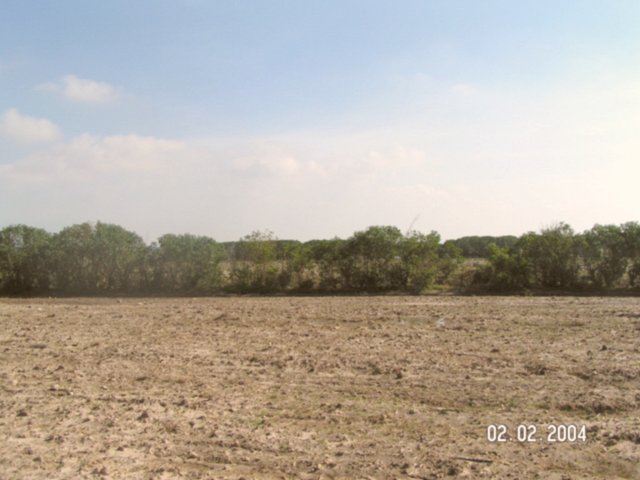 Looking south from the confluence