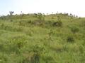 #5: The view west looking up the hill behind the confluence