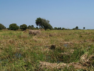 #1: Confluence point - 29 meters ahead