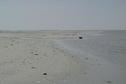 #4: 24N 52E "Attempt", view to the West from the shore.