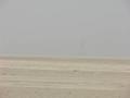 #2: View from the Confluence to the North / Blick vom Confluence Punkt nach Norden