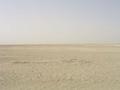 #3: View from the Confluence to the West / Blick vom Confluence Punkt nach Westen