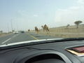 #8: On the way to the CP