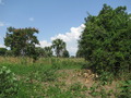 #2: View to the east
