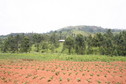 #2: View to the North