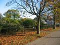 #3: View to the East