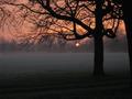 #5: Sunrise in Southern London