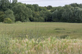 52°N 1°W preview image