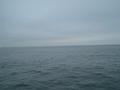 #10: View to the South-Southwest