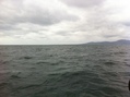 #3: West