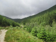 #11: track towards CP