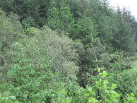 #2: Osten; view east