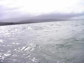 #1: General view looking south to Islay