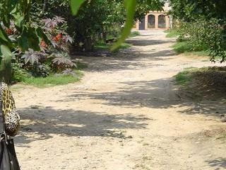 #1: The alley where the confluence lies looking to the west. 40m distance