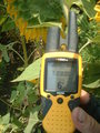 #6: GPS