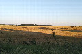 Visit #3: [07-Aug-21]