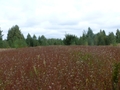 #2: Вид на север / North view