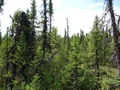 #5: View to the West