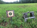 #10: Gun shooting targets