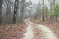 Visit #1: [30-Mar-01]