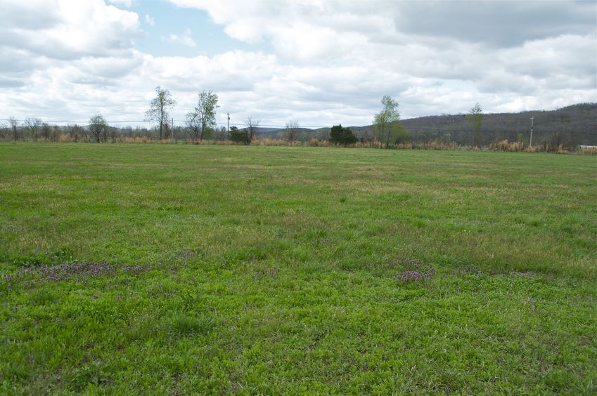 View North (towards a paved road, less than 400 meters away)