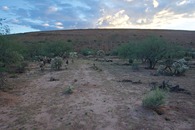 #3: View South (towards the bank of a large reclamation pond, filled with tailings from a nearby mine)