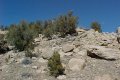 #2: The view toward the north of the confluence