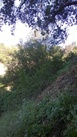 #2: South