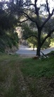 #6: Start from the road