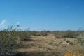 Visit #6: [23-May-03]