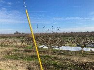 #2: Looking east